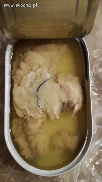 Ryba w oleju ?