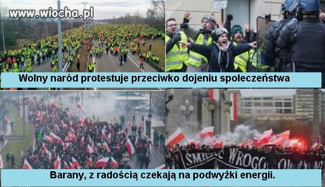 Potęga medialnej propagandy.