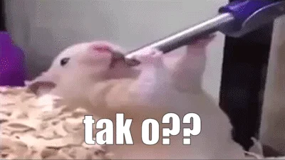 Patrz tak 