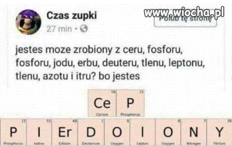 Jesteś