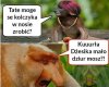 Łostry taate.