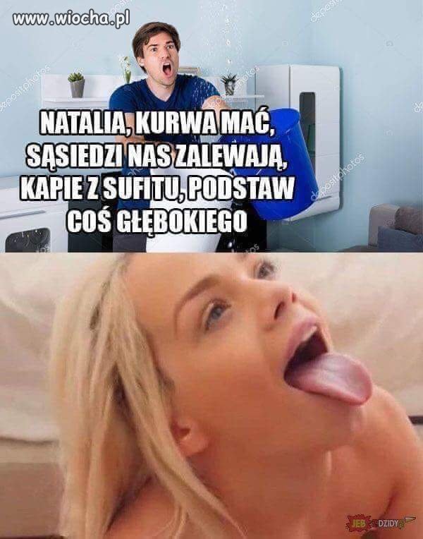 Zalanko 