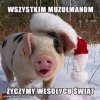 Wesołych Drodzy Uchodźcy 