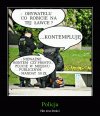 P jak policja