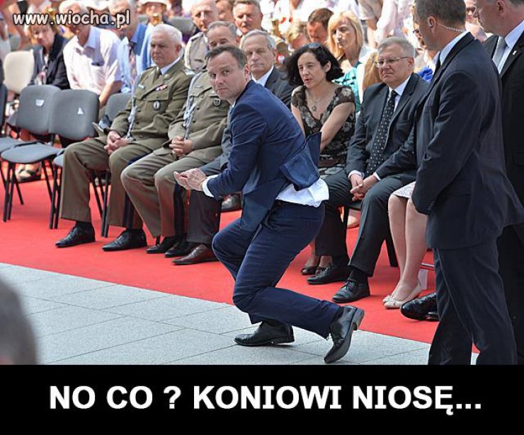 No to mamy nowego stajennego