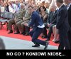 No to mamy nowego stajennego