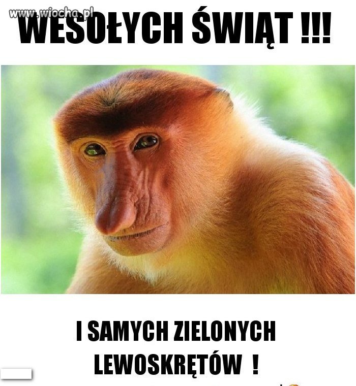 Zyczenia dla Lewicy...