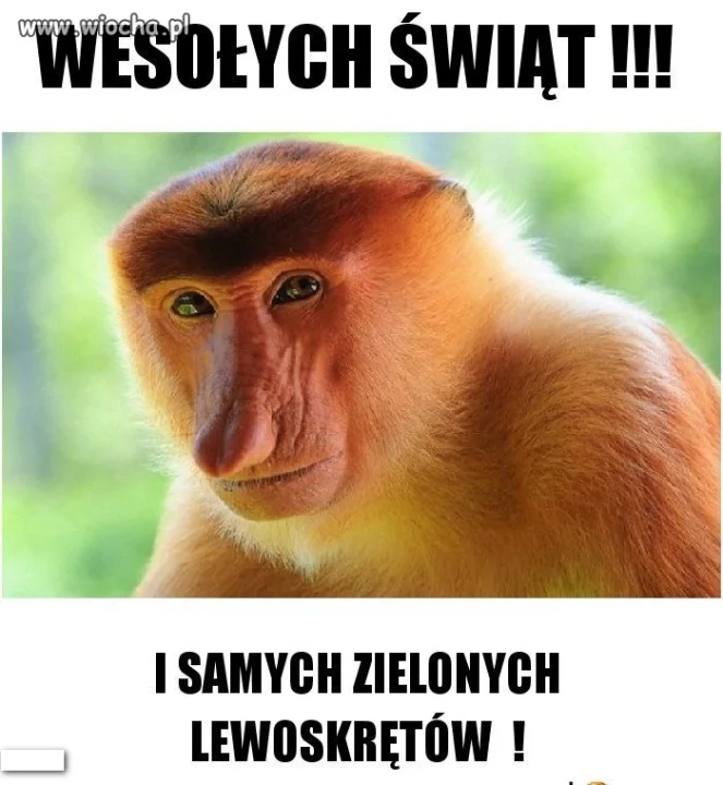 Zyczenia dla Lewicy...