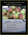 Tyle w temacie