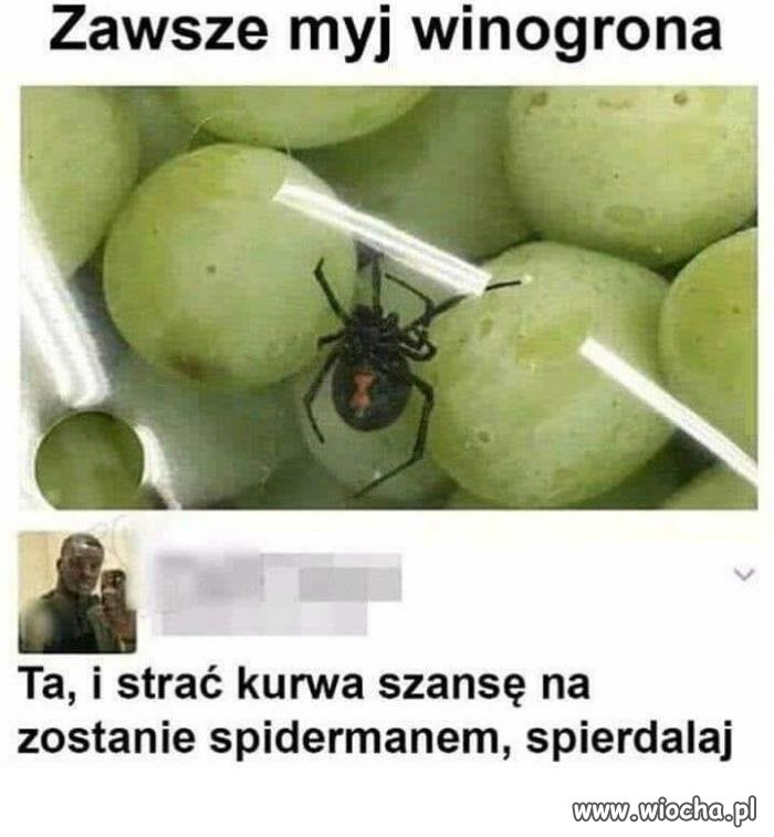 Jeszcze mnie nie poejbało