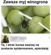 Jeszcze mnie nie poejbało