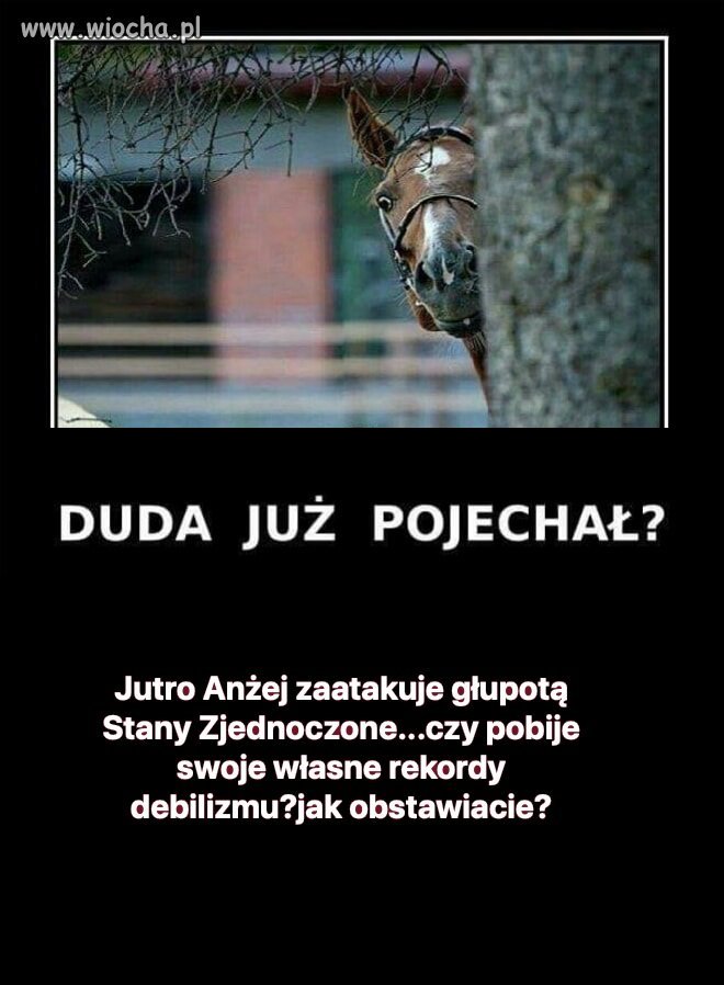 Tyle w temacie