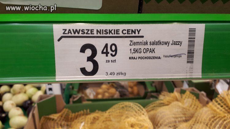 Dla spostrzegawczych biedronka
