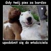 Selfie