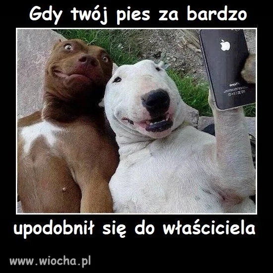 Selfie