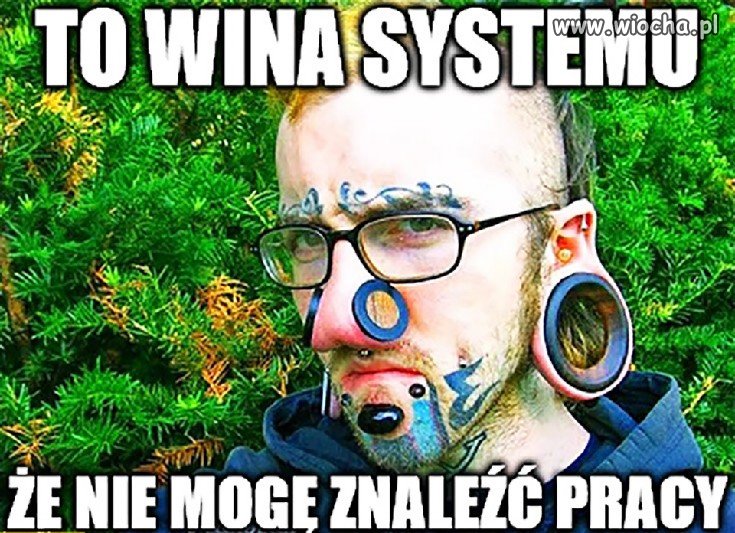 To wina systemu