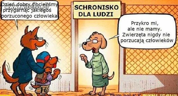 Lojalność 