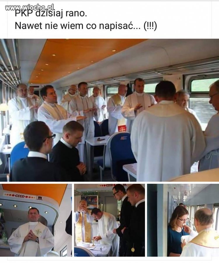 Pasażerowie na gapę