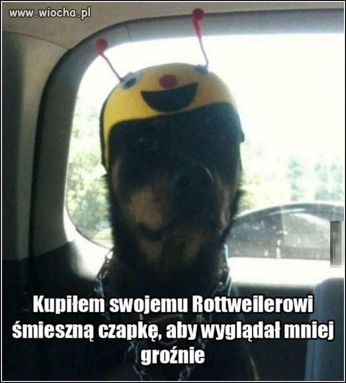 Śmieszna czapa