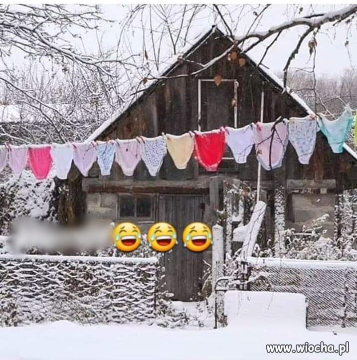 Krysia na Podlasiu