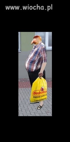 Pójdzie do biedry będzie dusił karpia w reklamówce