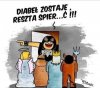Tyle w temacie