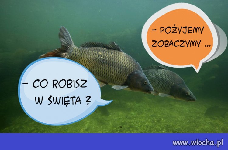  Planujemy ...