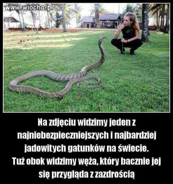 No niby śmieszne ale...