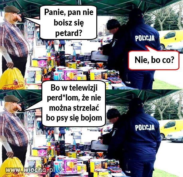 Kraj w którym psy przejęły władzę