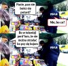 Kraj w którym psy przejęły władzę