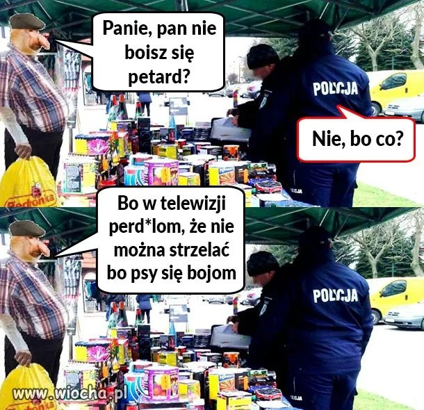 Kraj w którym psy przejęły władzę