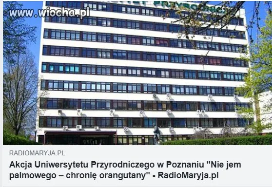 A co jeśli Tadzio