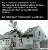 Prawdziwy
