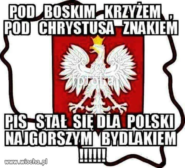 Smutna prawda ...