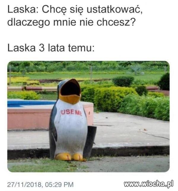 Dlaczego mnie nie chcesz
