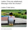Dlaczego mnie nie chcesz
