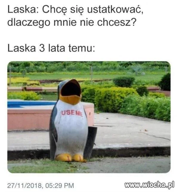 Dlaczego mnie nie chcesz