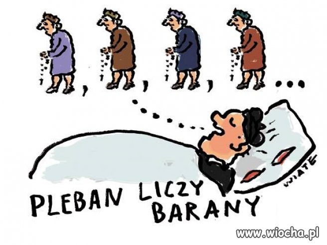 Sposób na bezsenność ...