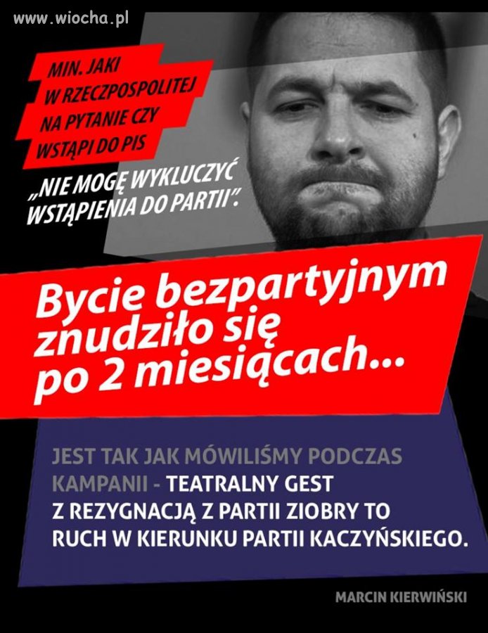 Jaki szuka 