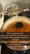 Bardzo mądrze