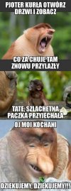 Bez komentarza