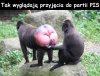 Przyjęcie do partii