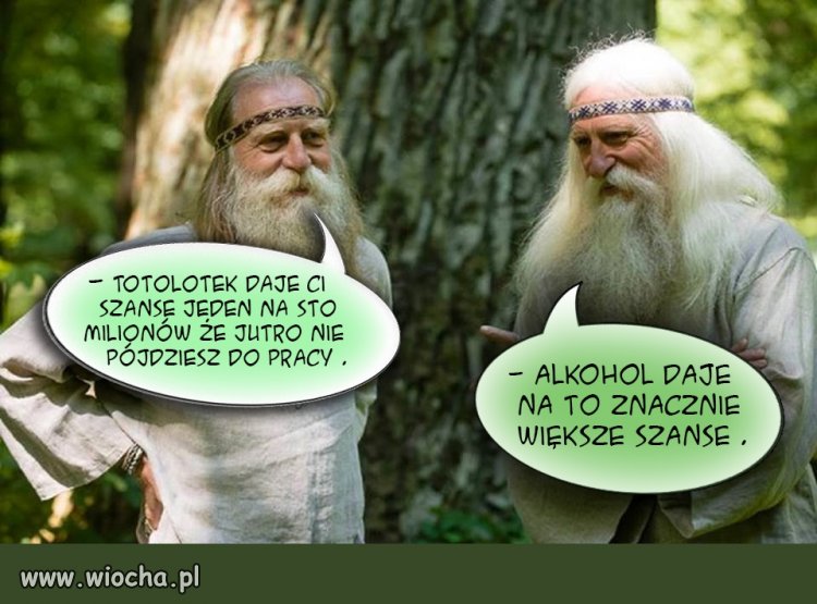  Adrzejkowe przepowiednie ...