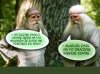  Adrzejkowe przepowiednie ...