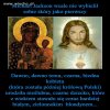 Musiał bo w Polsce nie miałby szans