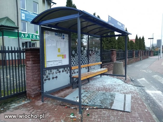 Takim debilom to już resocjalizacja nie pomoże,