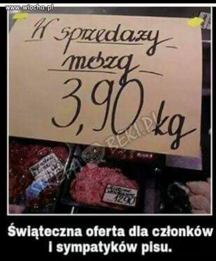 Świąteczna oferta