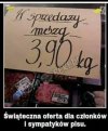 Świąteczna oferta