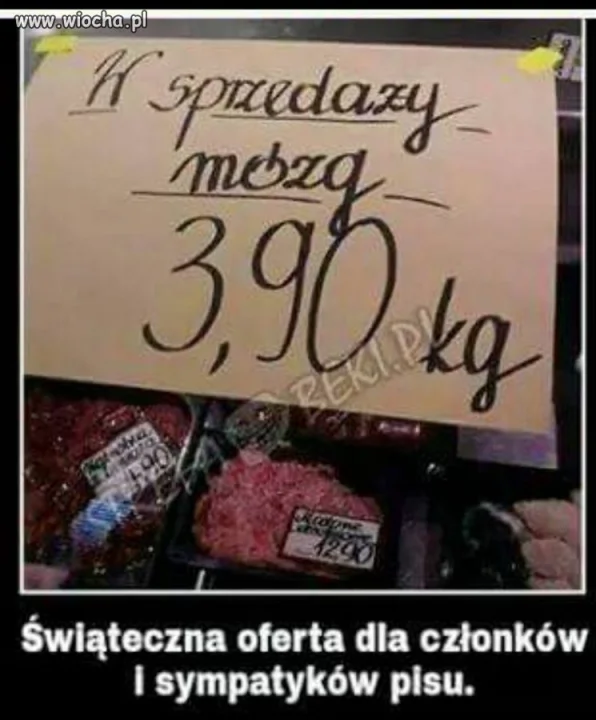 Świąteczna oferta
