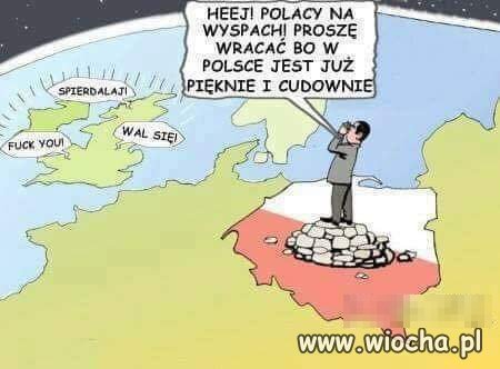 Wracajcie